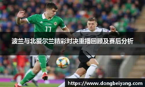波兰与北爱尔兰精彩对决重播回顾及赛后分析